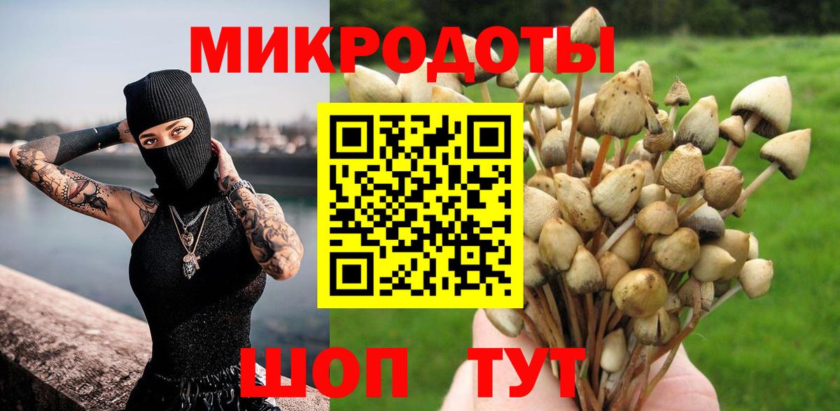 Галлюциногенные грибы Cubensis Бугуруслан